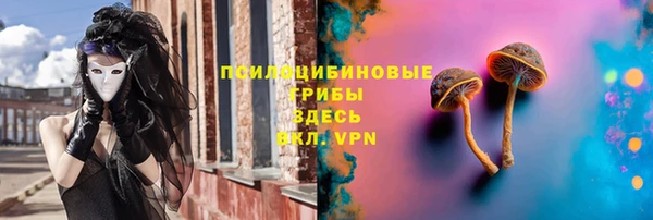 крисы Балахна