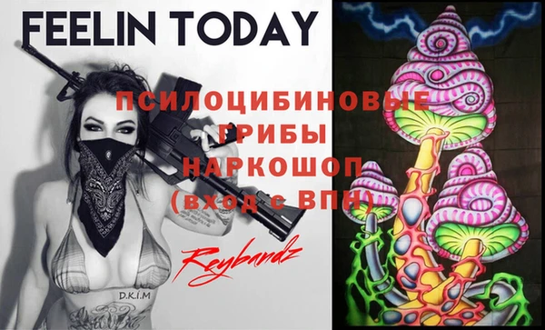 эйфоретик Беломорск
