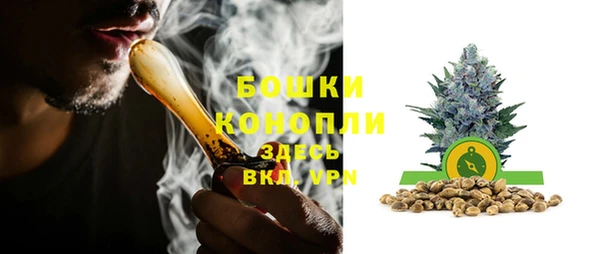 дживик Белоозёрский