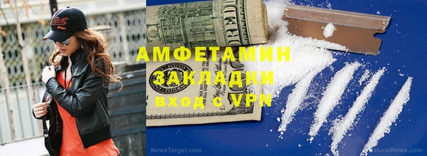 стаф Белокуриха